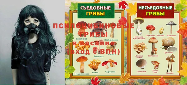 PSILOCYBIN Алексин