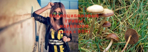 амф Алзамай