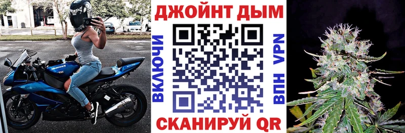 блэк спрут   Камызяк  Конопля сатива 
